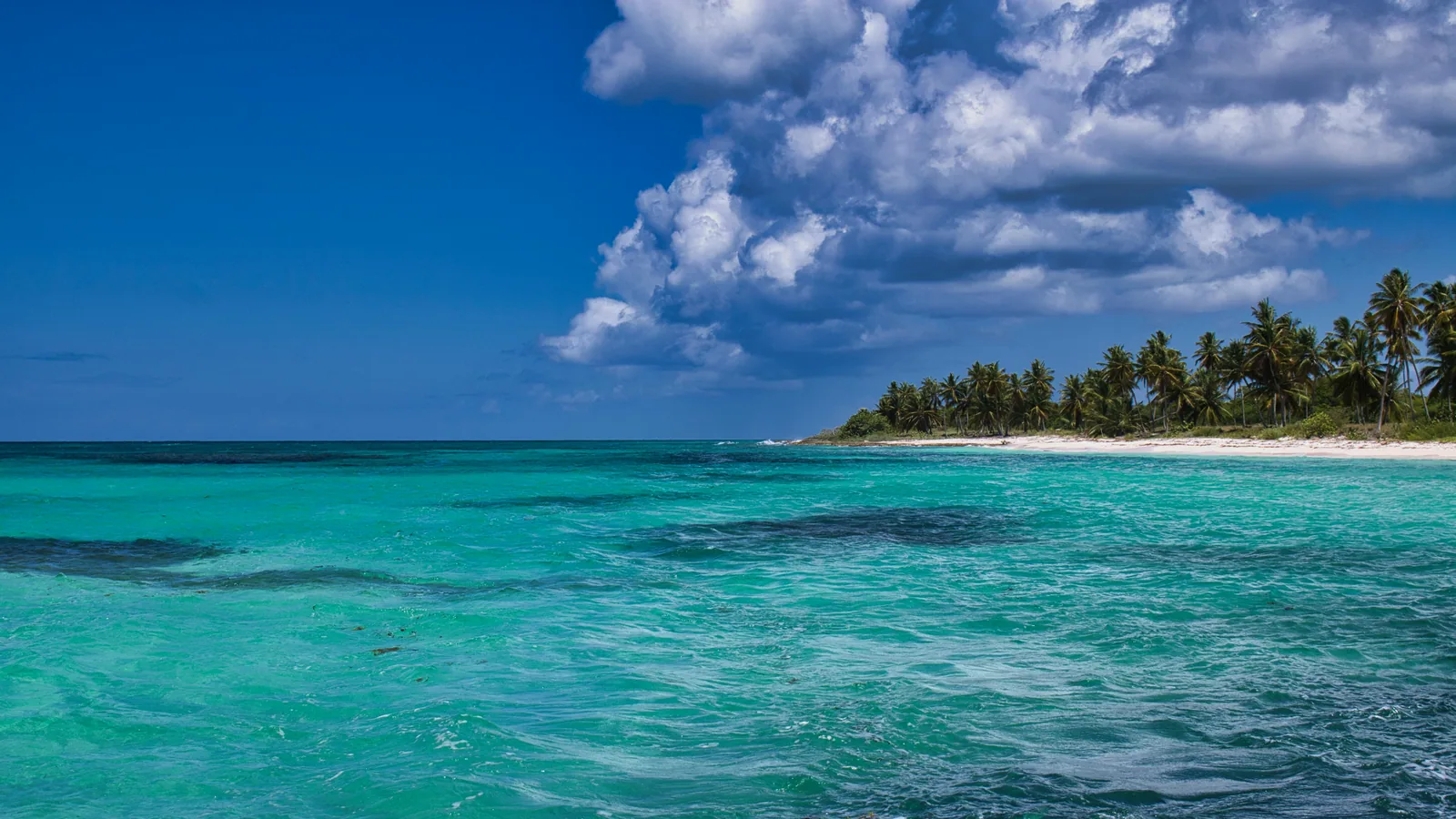 Cabine de voilier ou de catamaran : quel confort attendre à bord, comment choisir et quoi anticiper : photo de couverture pour illustrer...