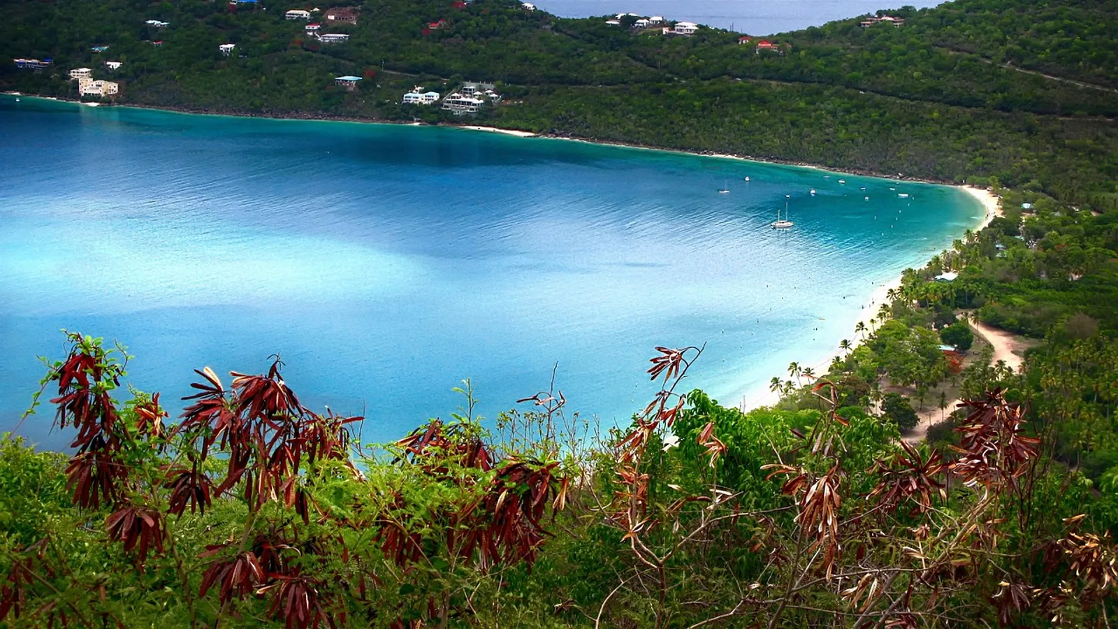 Contrat de location bateau en Guadeloupe : ce qu'il faut vraiment lire avant de signer : photo de couverture pour illustrer cet article