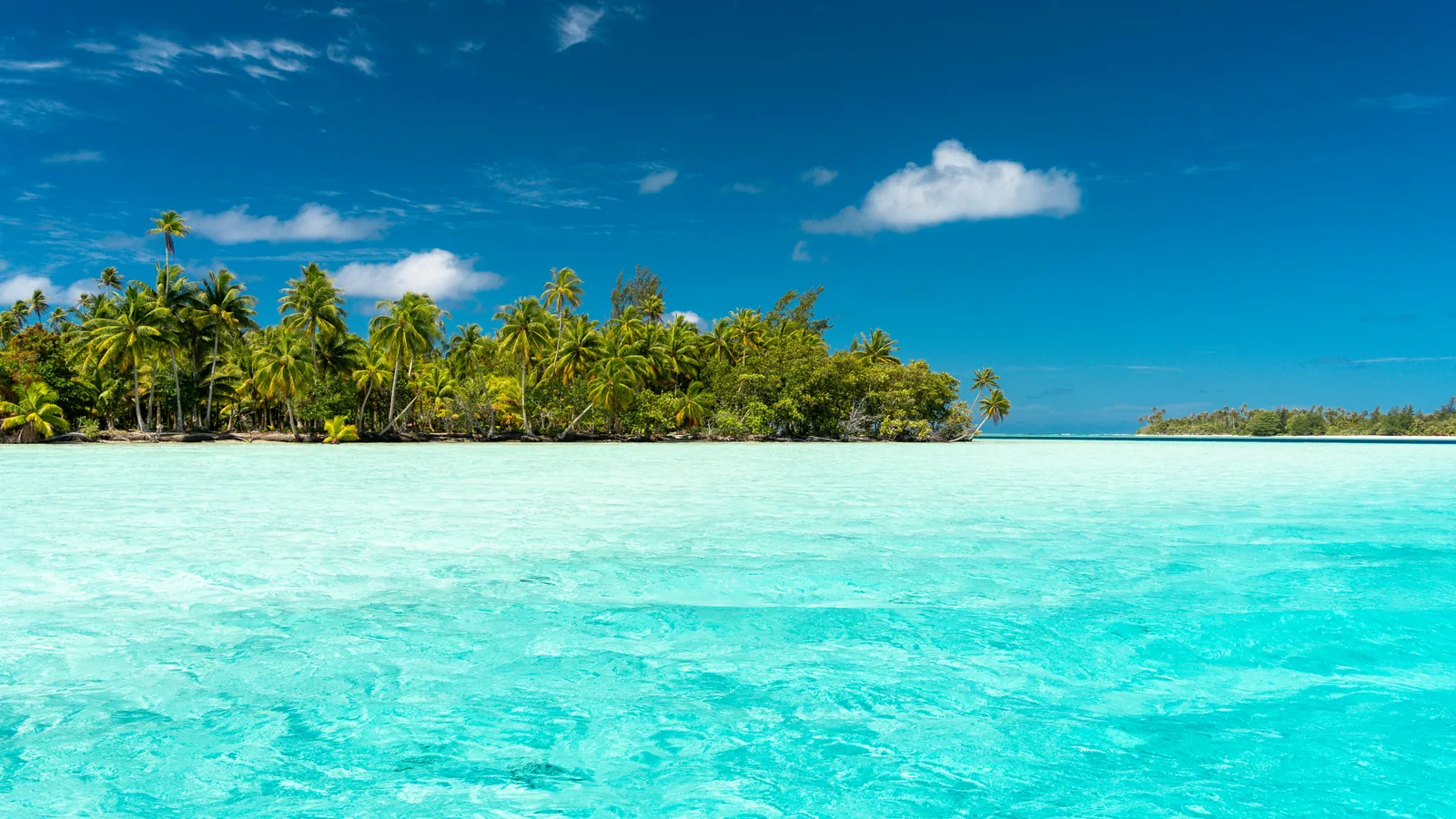 Croisière snorkeling en Guadeloupe : choisir les bonnes escales, le bon rythme et le bon bateau : photo de couverture pour illustrer cet...
