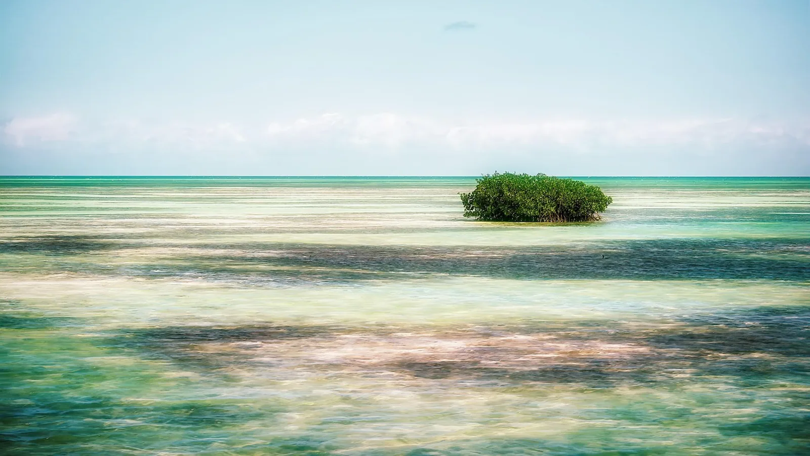 Cuisine à bord d'un voilier aux Antilles : prévoir sans se compliquer : photo de couverture pour illustrer cet article