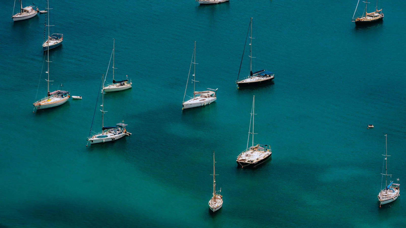 Ce qu'on mange en croisière aux Antilles : le guide des escales et des bonnes tables créoles : photo de couverture pour illustrer cet...
