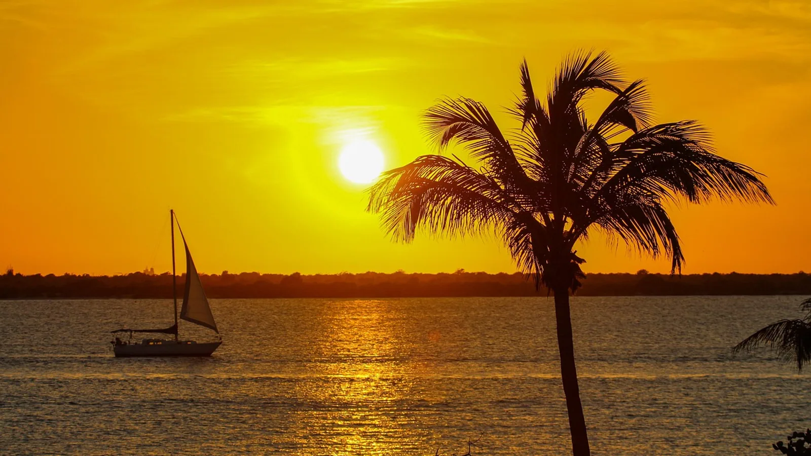 Internet en mer aux Antilles : ce qui fonctionne vraiment et comment s'organiser : photo de couverture pour illustrer cet article