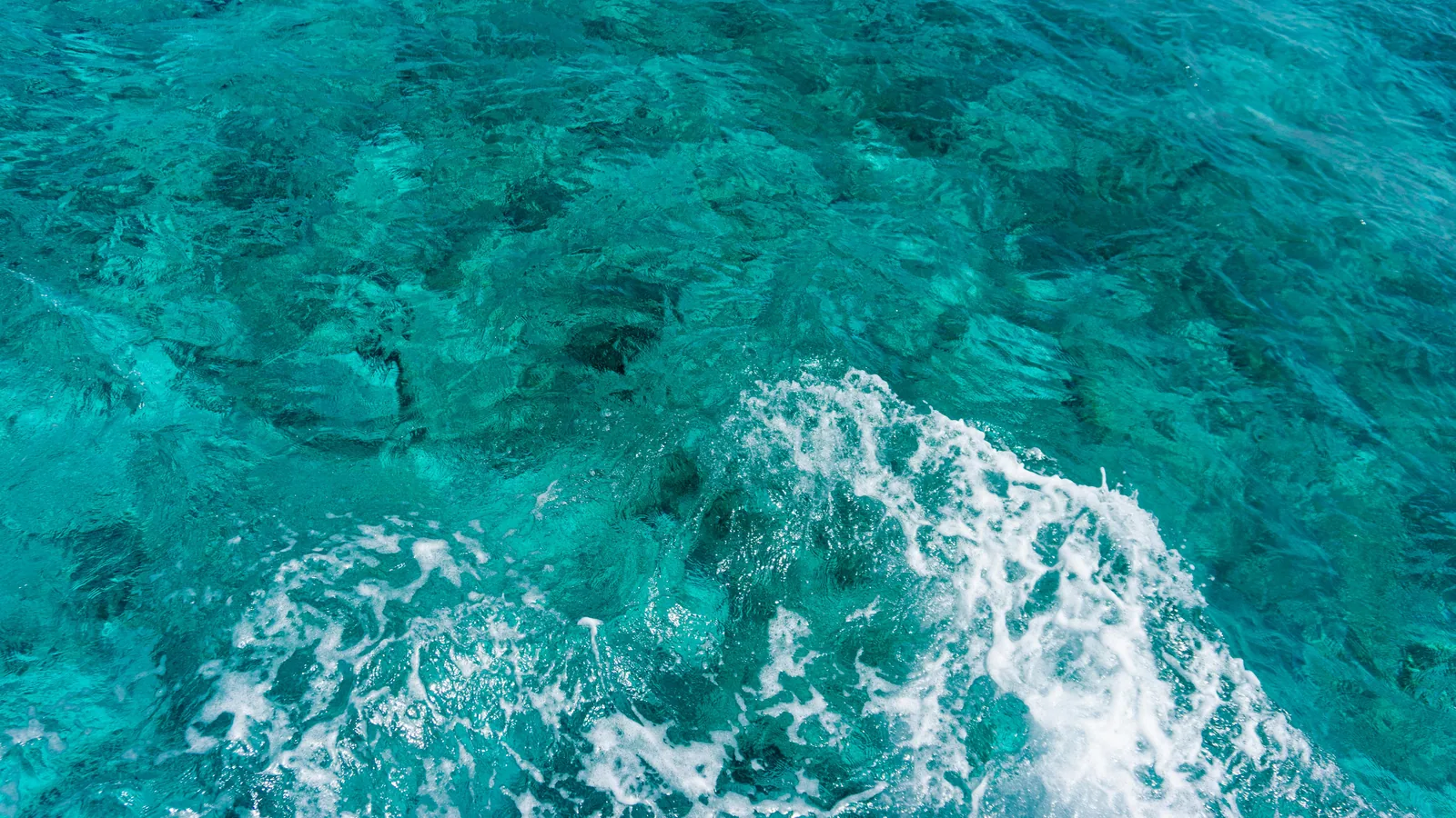 Location de voilier en Guadeloupe pas cher : où économiser sans se tromper : photo de couverture pour illustrer cet article