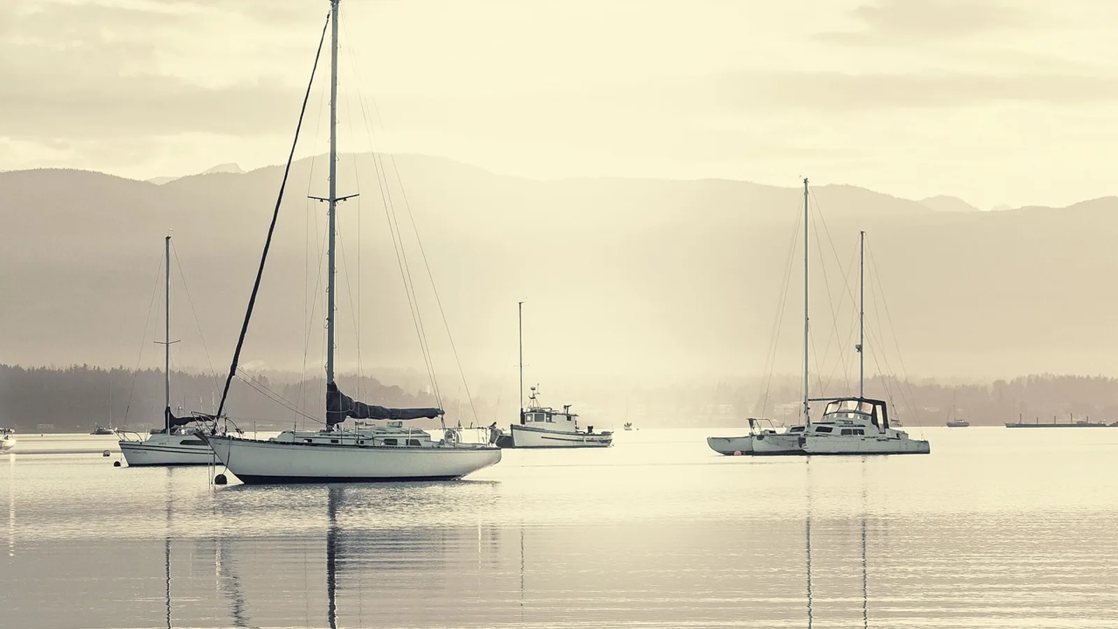 Naviguer aux Antilles quand on débute : ce qui change vraiment : photo de couverture pour illustrer cet article