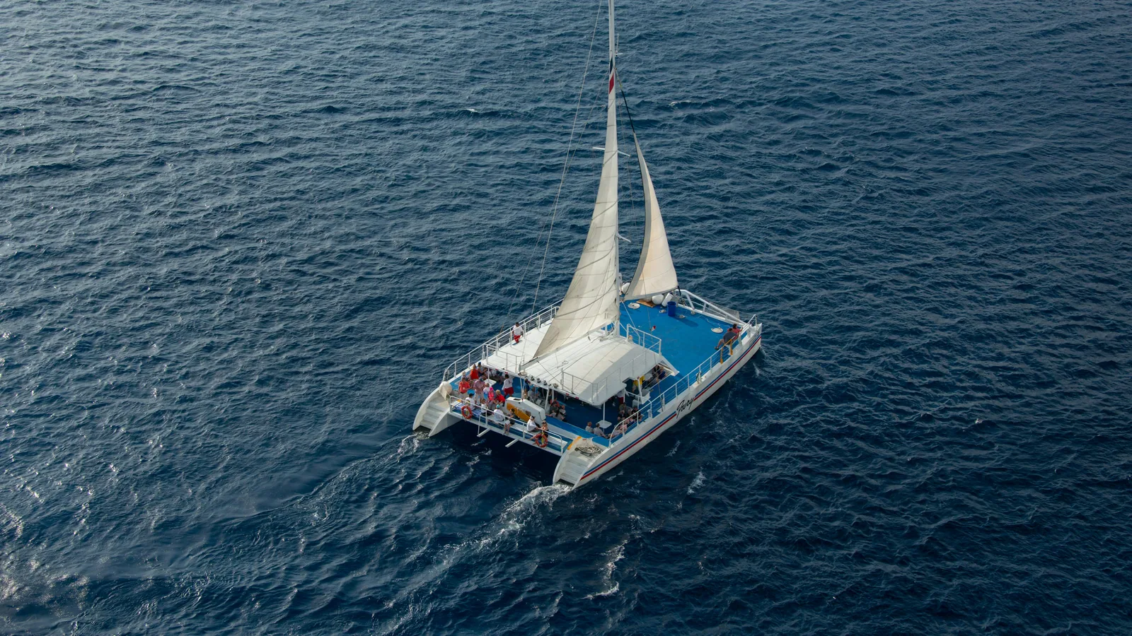 Prix d'une location de catamaran en Guadeloupe : ce qui explique vraiment les écarts : photo de couverture pour illustrer cet article