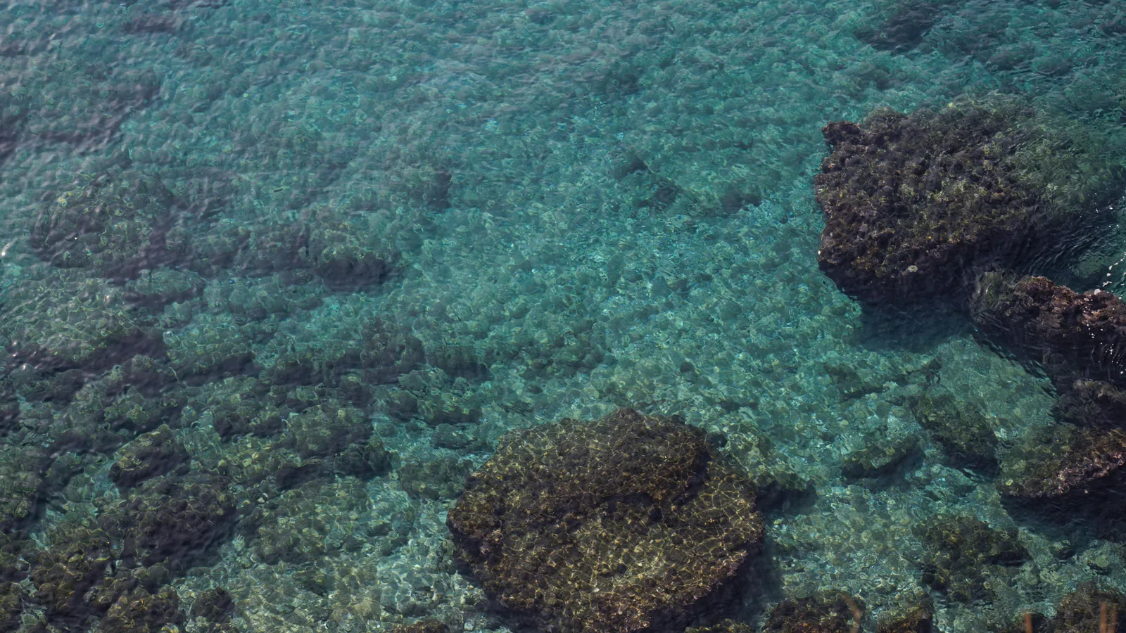 Snorkeling aux Saintes en voilier : spots, mouillages et ce qu'il faut vraiment savoir avant de partir : photo de couverture pour...