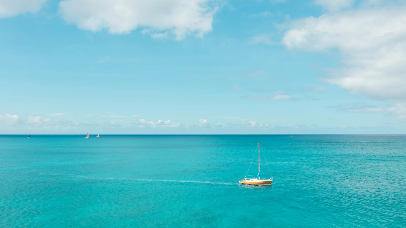 Tarif de location d'un voilier en Guadeloupe : les postes à vérifier avant de réserver : photo de couverture pour illustrer cet article