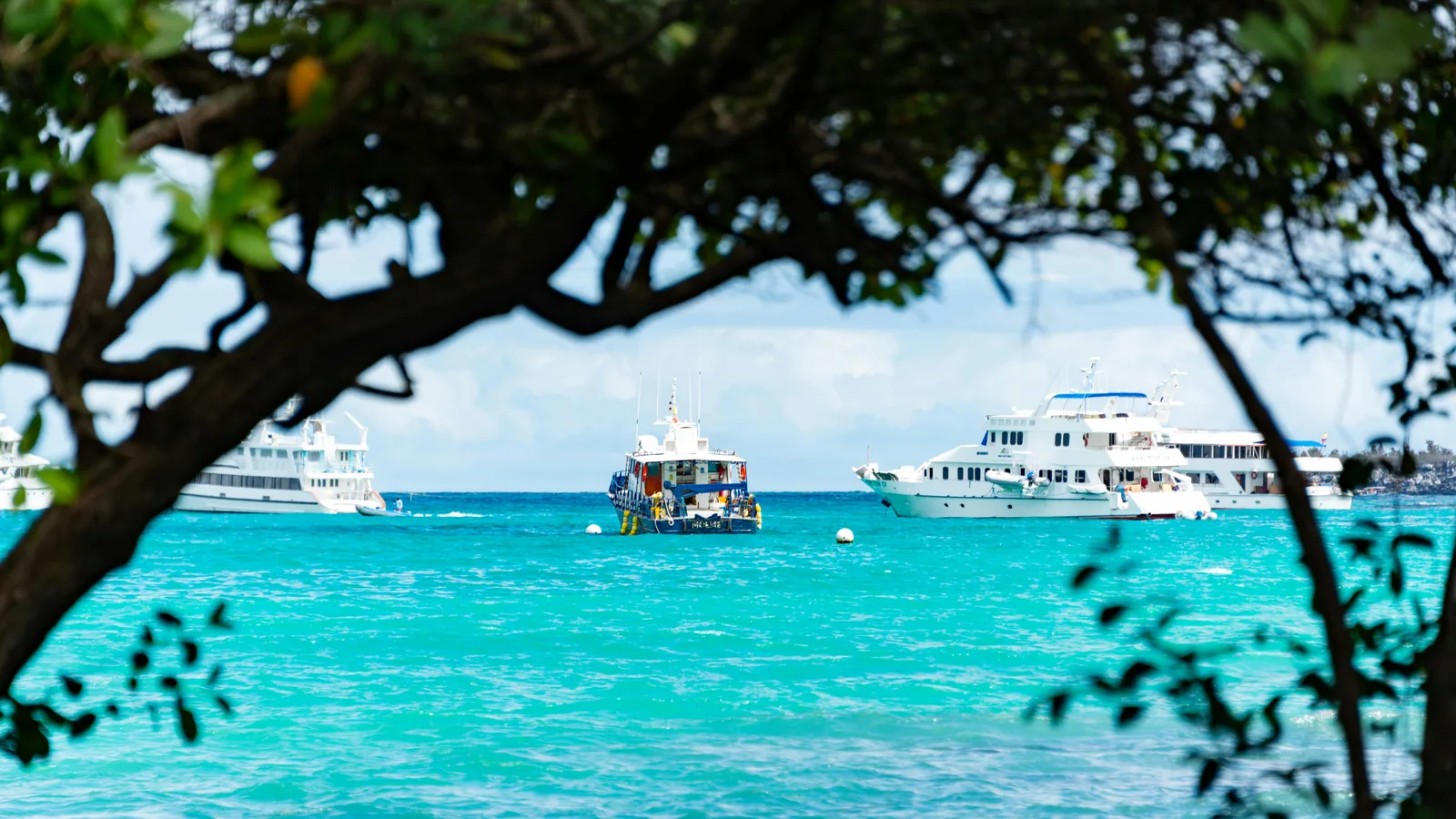 Traditions créoles aux Antilles : comprendre l'ambiance des escales, le rythme des îles et ce que ça change pour votre navigation :...